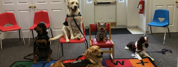 Children's Positive Paws pups