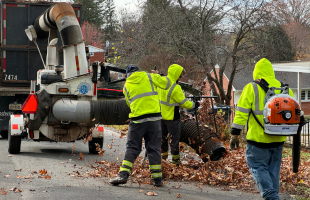 Fall Leaf Collection - vacuum and PW crew